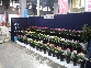 DSCN3113.JPG