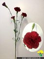 184_シャトー