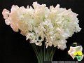 430_クリスタルホワイト