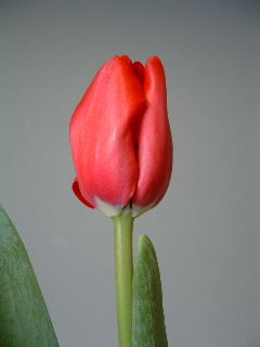 422_イルデフランス.JPG