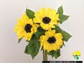 258_ビンセントポメロ